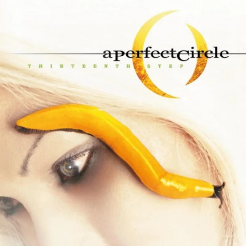 A Perfect Circle Thirteenth Step (2-LP)