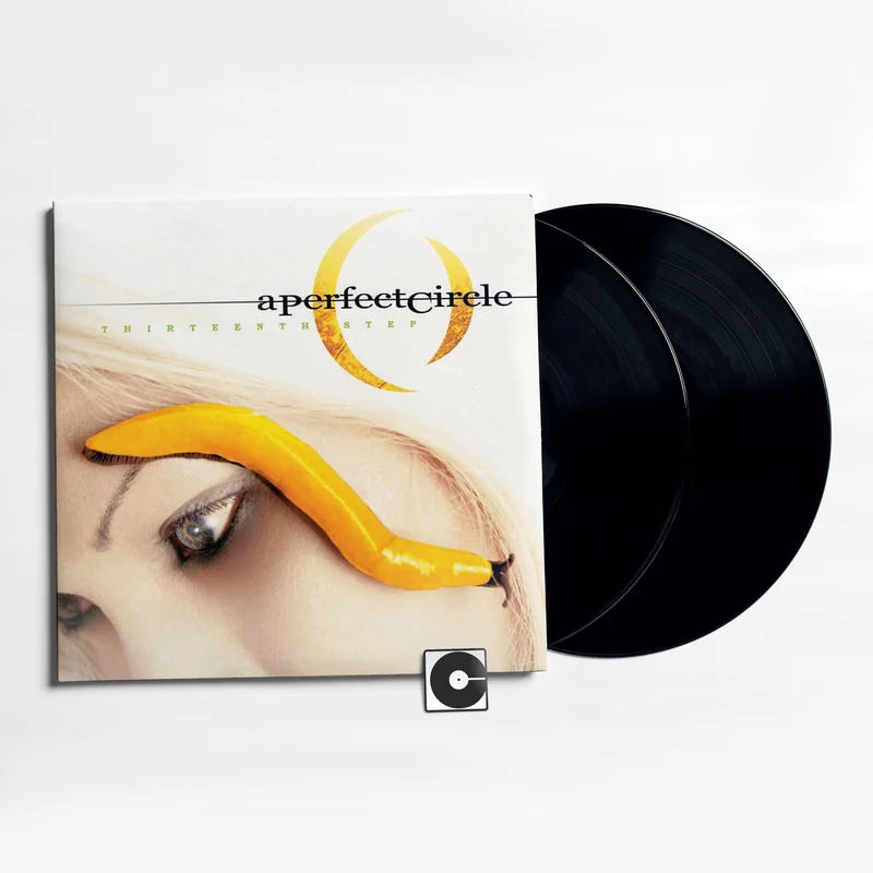 A Perfect Circle - "Thirteenth Step"