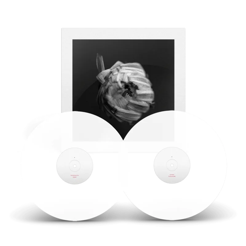 A Swarm Of The Sun  An Empire [2xLP]