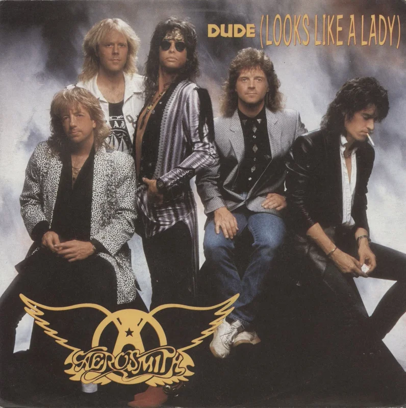 Aerosmith Dude [Looks Like A Lady] German 7" vinyl
