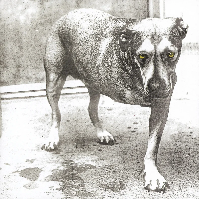Alice in Chains Alice in Chains (2xLP, 30th Anniversary Edition, Yellow vinyl)