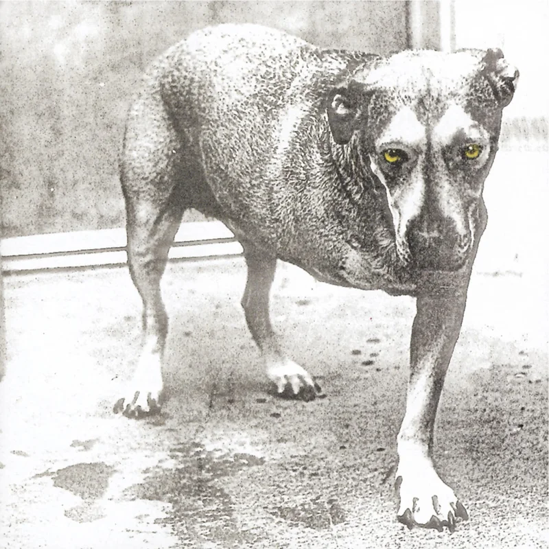 Alice In Chains  Alice In Chains (30th Ann 2-LP)