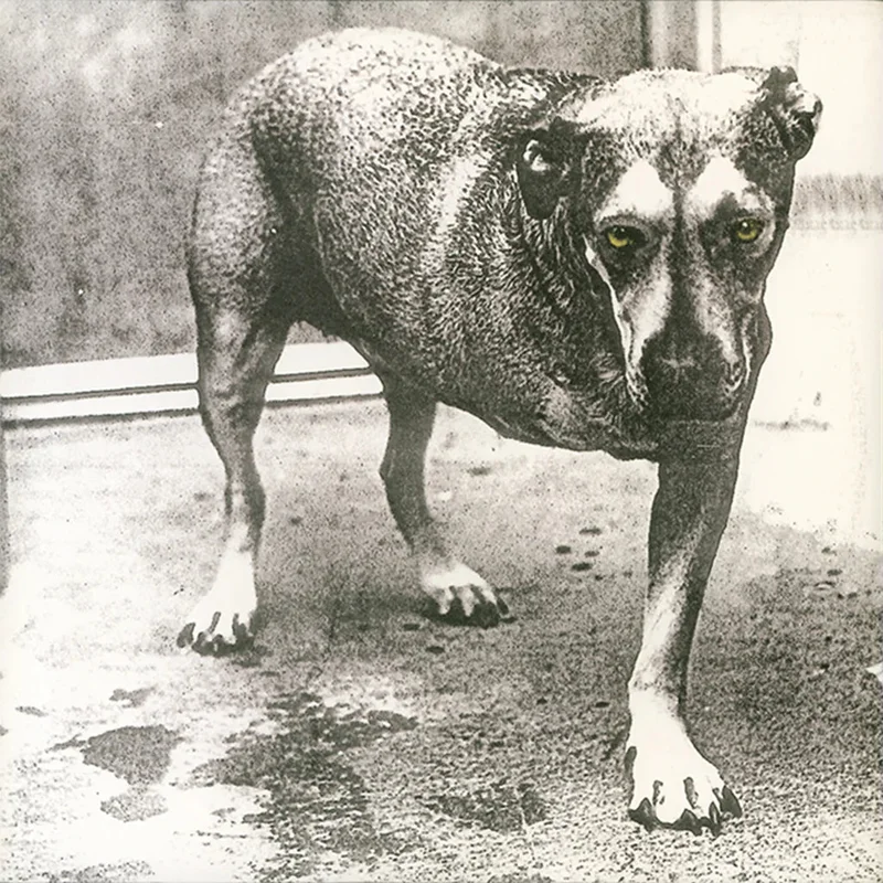 Alice In Chains - Alice In Chains (30th Anniversary) - LP