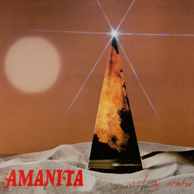 Amanita Sol Y Sombra