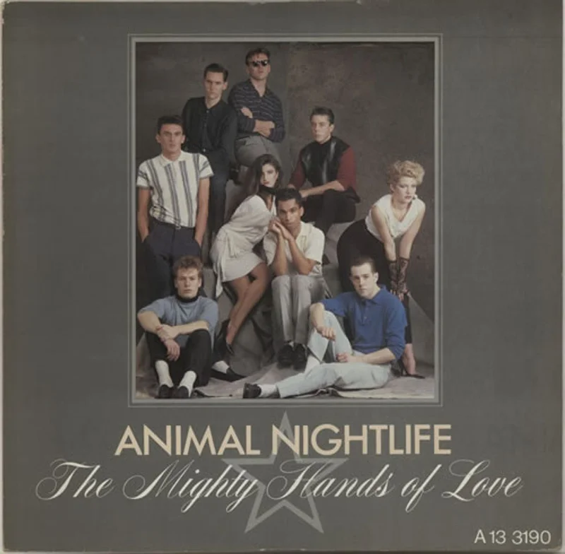 Animal Nightlife The Mighty Hands Of Love UK 12" vinyl