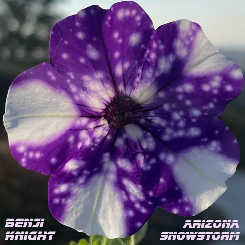 Arizona Sunset