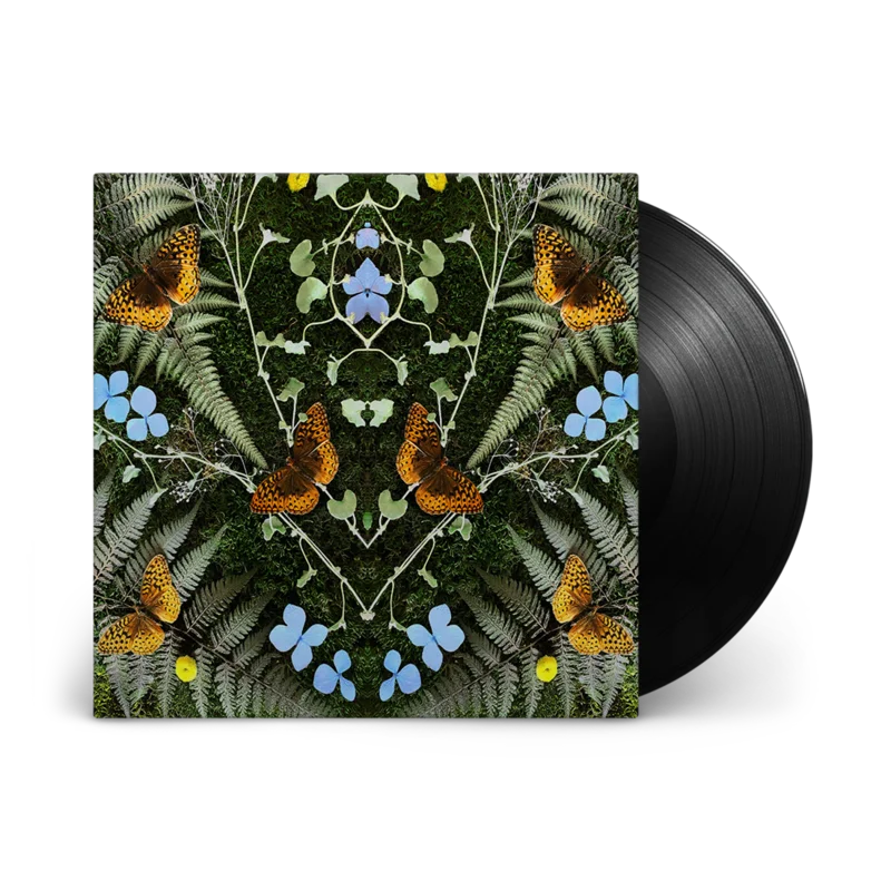aubades: Vinyl LP
