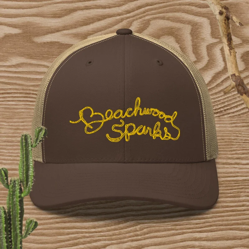 Beachwood Sparks Lasso Logo Trucker Cap Black