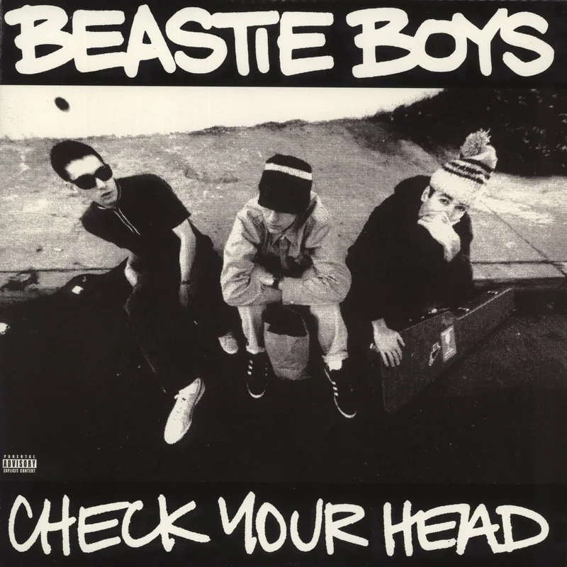 Beastie Boys Check Your Head - 180 Gram Vinyl US 2-LP vinyl set