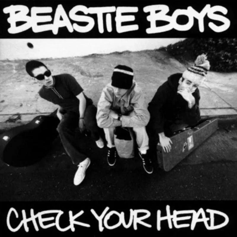 Beastie Boys Check Your Head (2-LP)