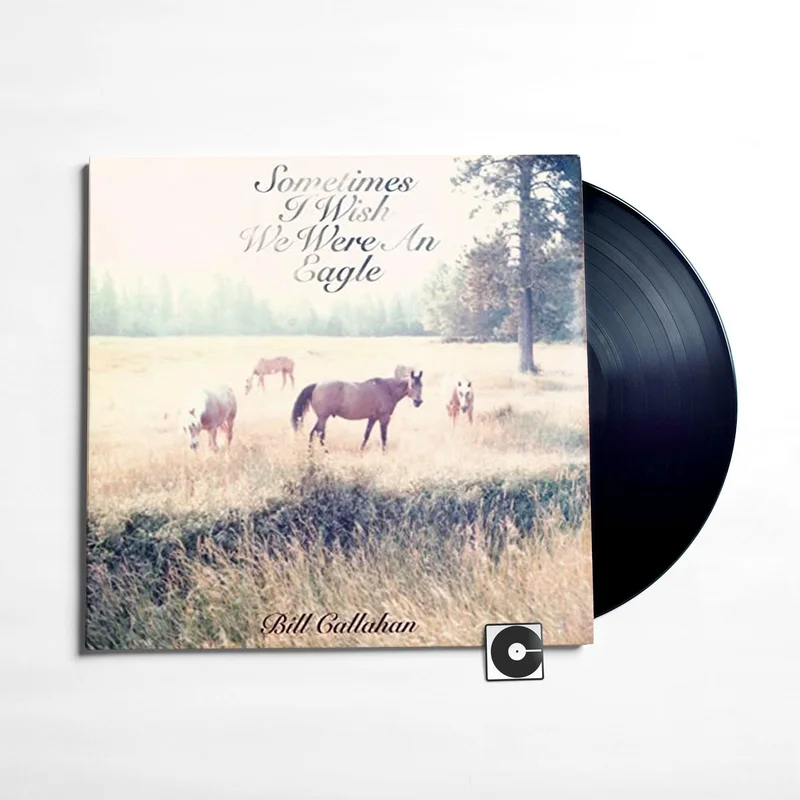 Bill Callahan - "Sometimes I Wish We Were An Eagle"