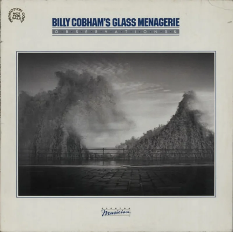 Billy Cobham Observations & German Vinyl LP