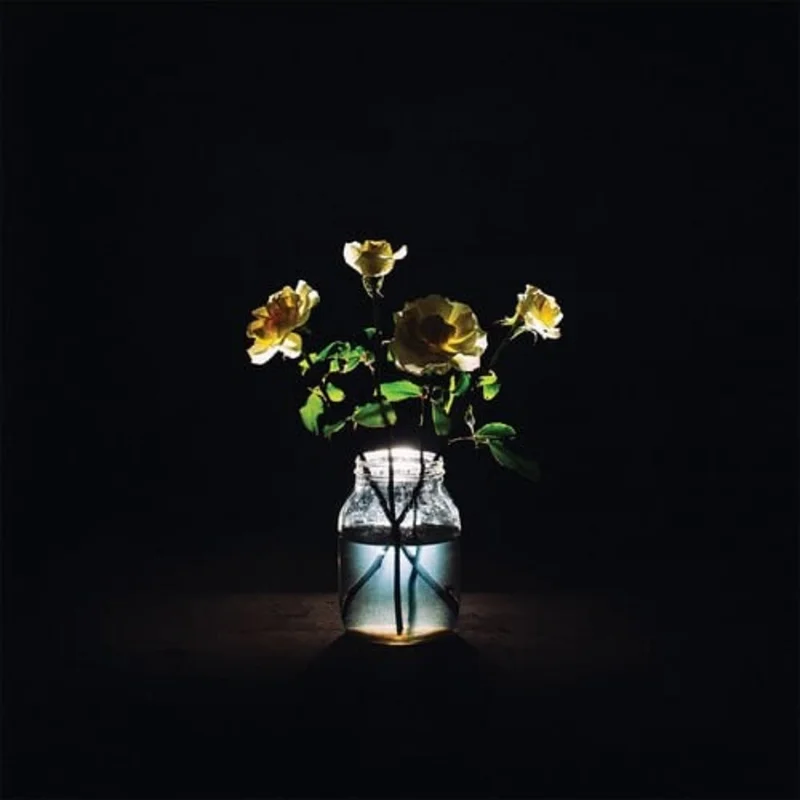Billy Strings Renewal (2-LP)
