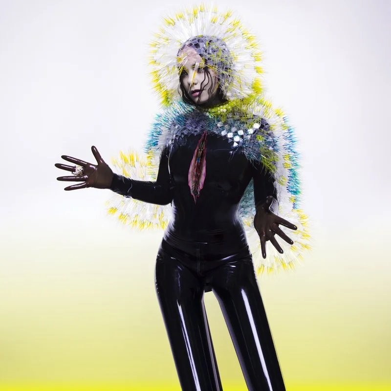 Bjrk Vulnicura (2xLP)