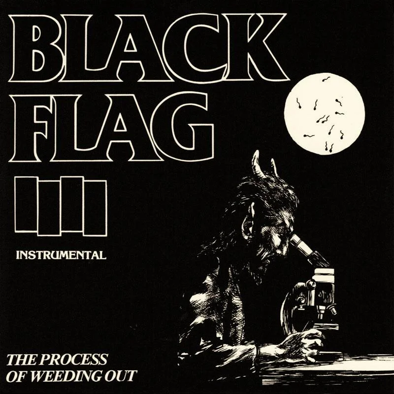 Black Flag - The Process of Weeding Out - 10" inch vinyl record