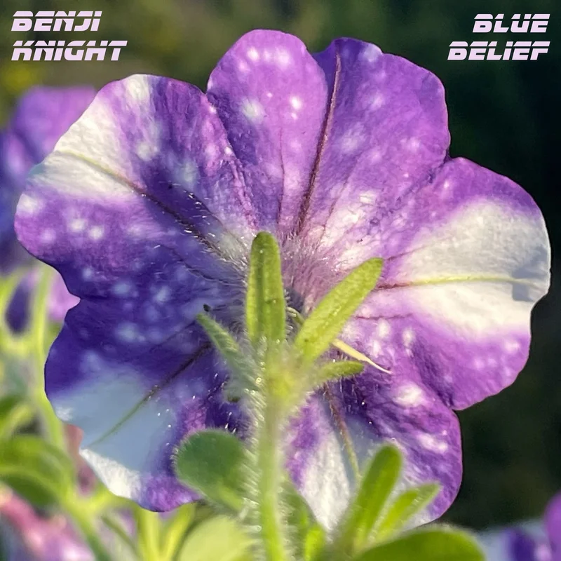 Blue Belief