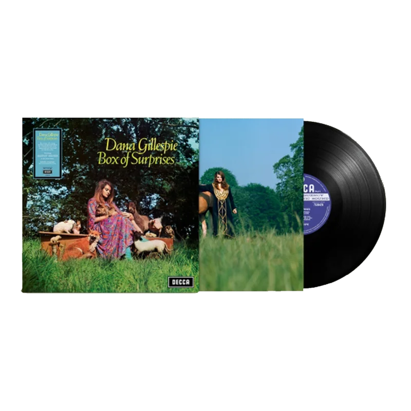 Box Of Surprises (RSD25): Vinyl LP