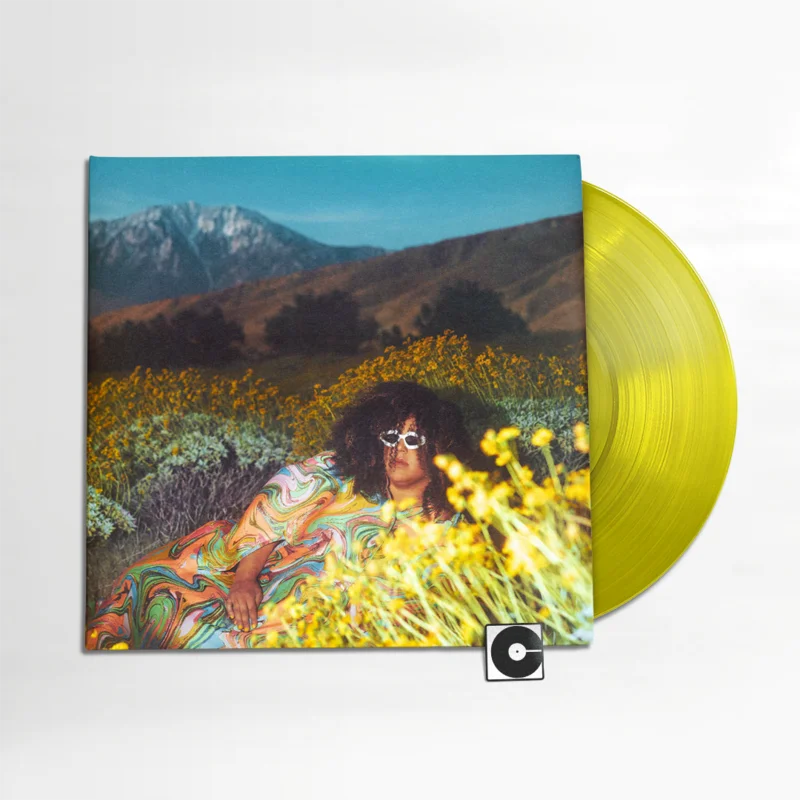 Brittany Howard - "What Now"