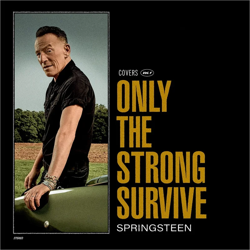 Bruce Springsteen Only The Strong Survive (Covers Vol. 1)(2xLP)
