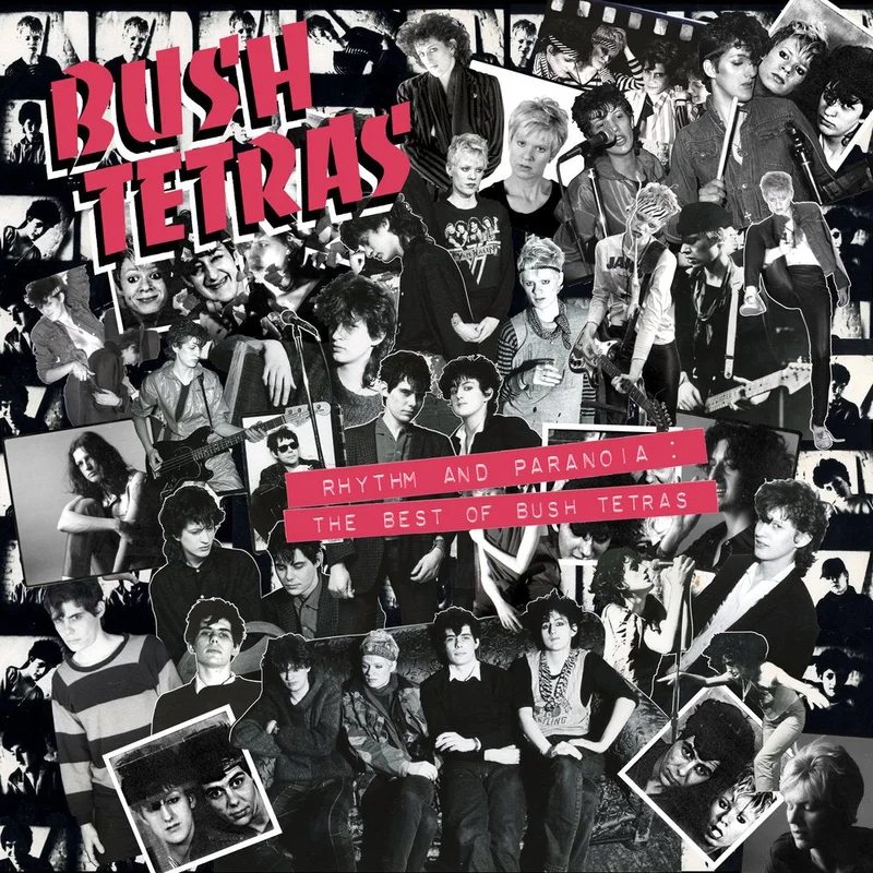 Bush Tetras - "Rhythm And Paranoia: The Best Of Bush Tetras" Box Set