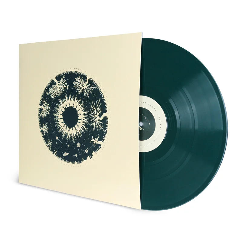 car crash weather  Terra Nostra [LP]