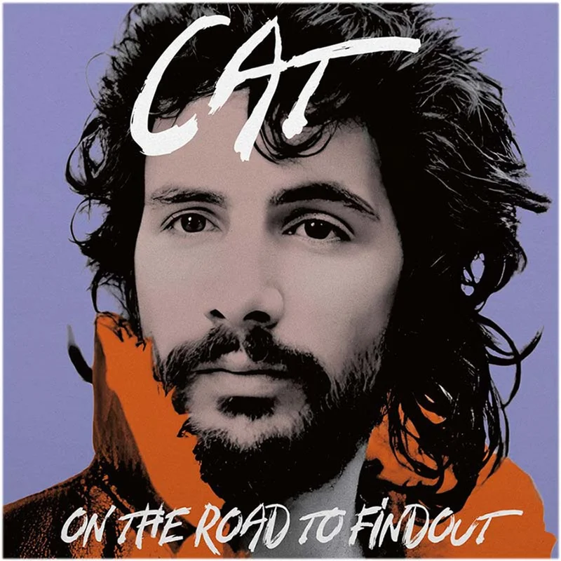 Cat Stevens - On the Road to Findout: Greatest Hits - LP
