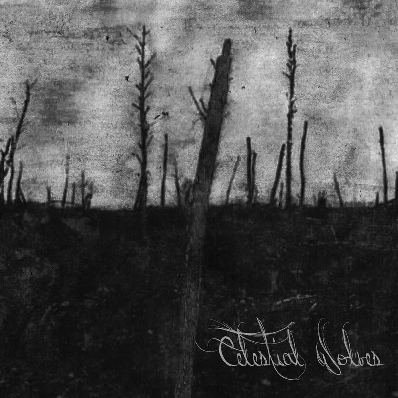 Celestial Wolves  Wood For Wood [CD]