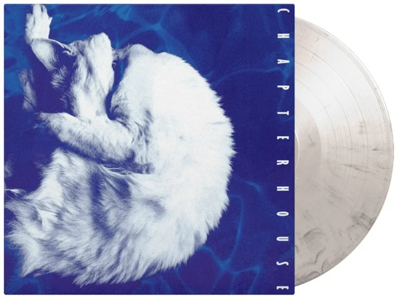Chapterhouse Whirlpool - 180 Gram White & Black Marbled Vinyl UK Vinyl LP