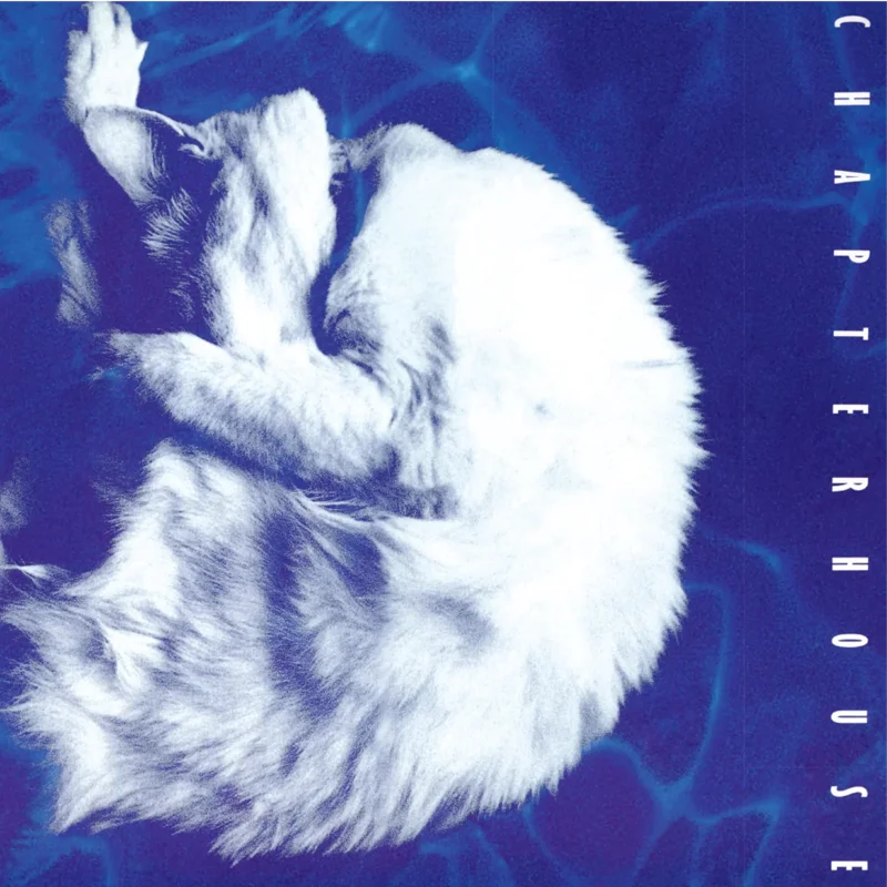 Chapterhouse Whirlpool (White/Black Marble vinyl)