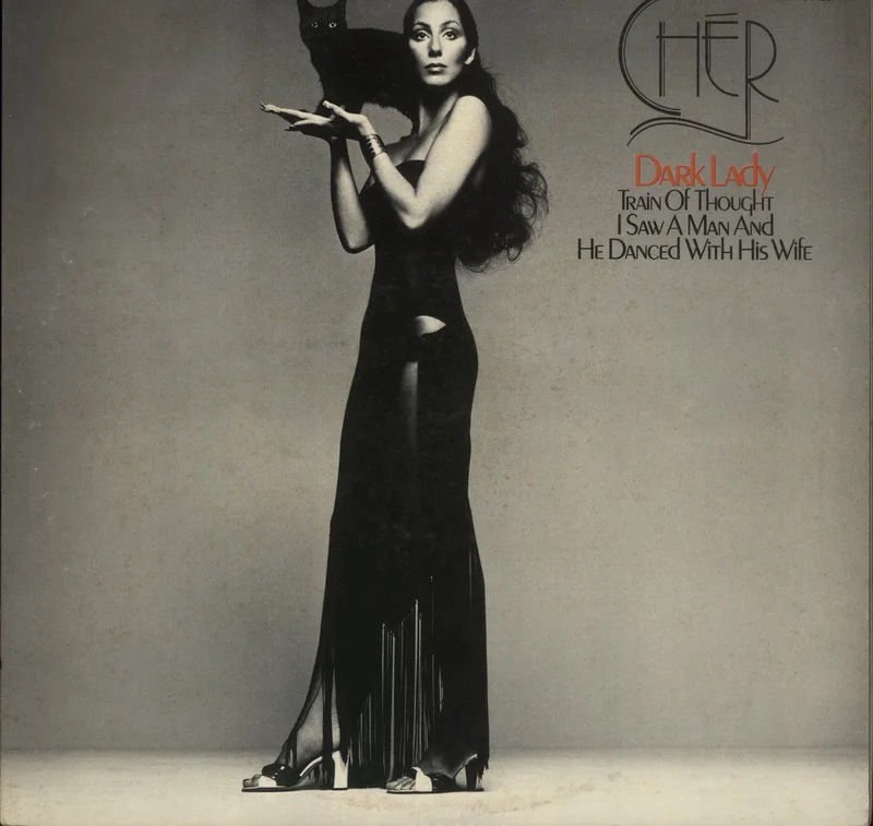 Cher Dark Lady Japanese Promo Vinyl LP