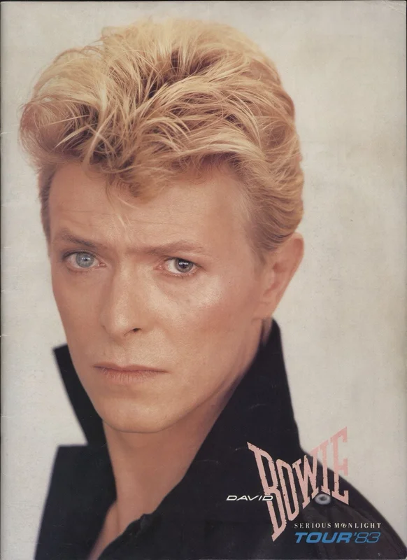 David Bowie Serious Moonlight + 3 Ticket Stubs UK Tour programme