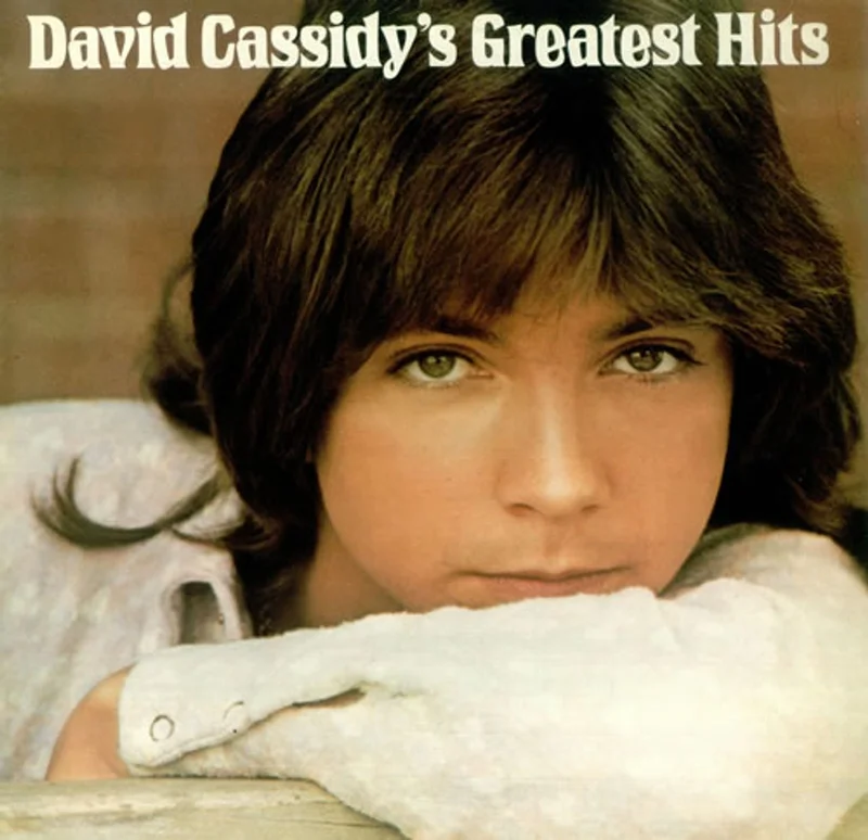 David Cassidy David Cassidy's Greatest Hits UK Vinyl LP