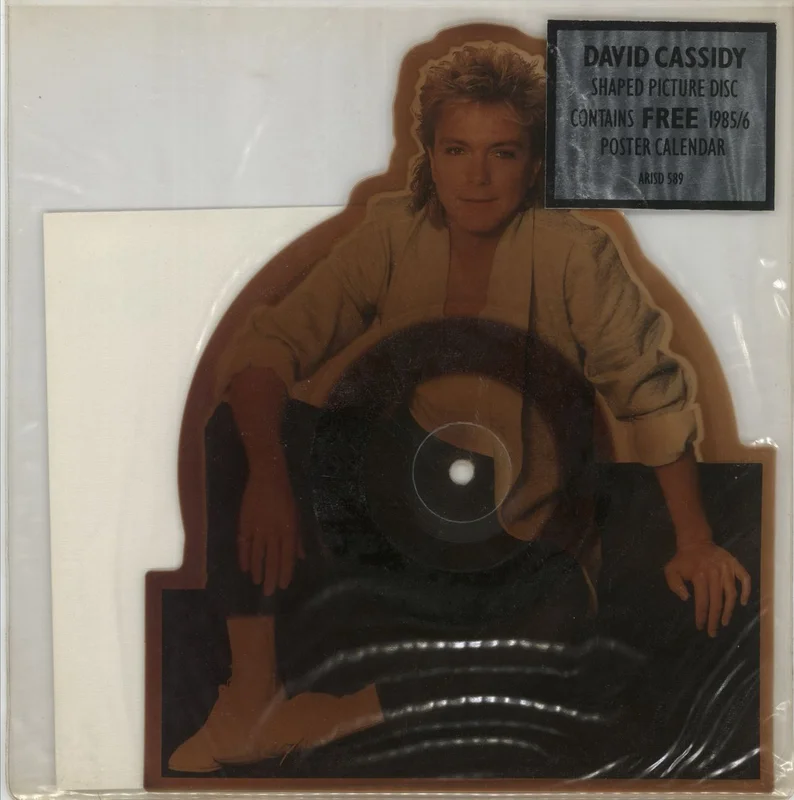 David Cassidy The Last Kiss & Calender Poster - Tea-stained UK Shaped picture disc