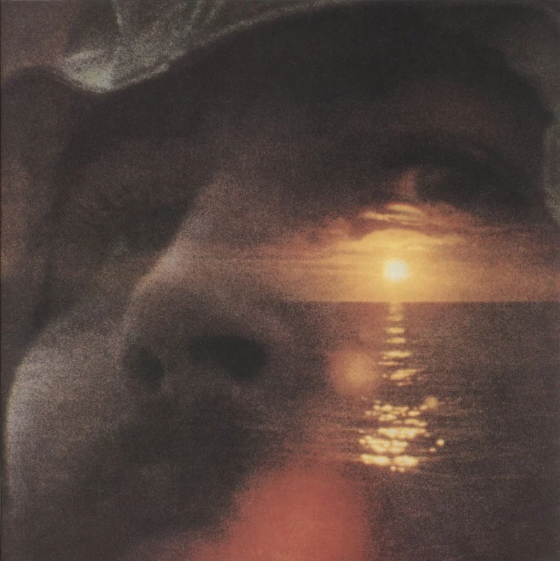 David Crosby If I Could Only Remember My Name - 180gm UK Vinyl LP
