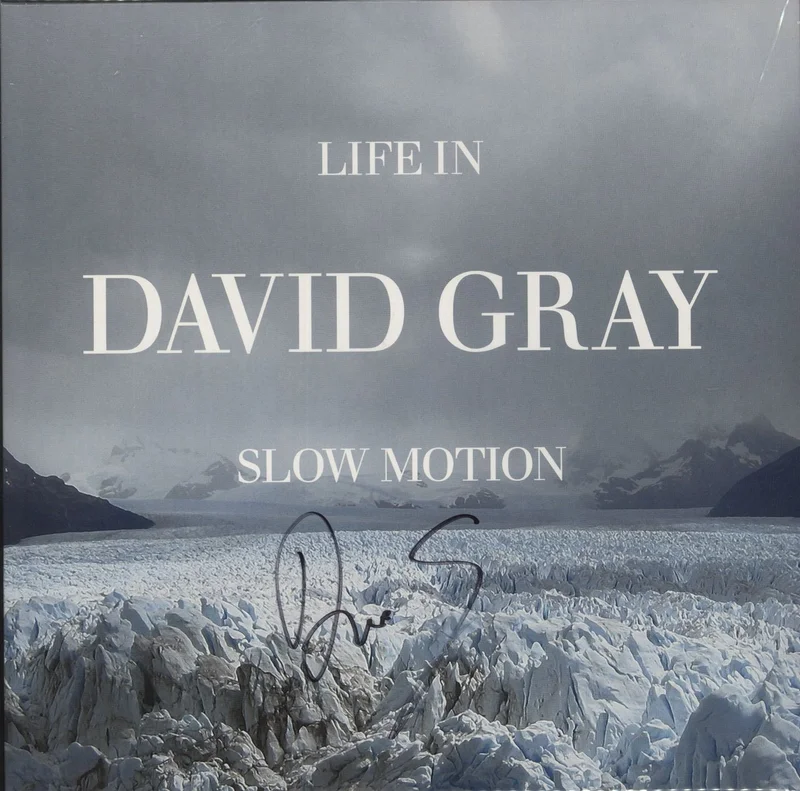 David Gray Life In Slow Motion: 20th Anniversary + Autographed UK Vinyl LP
