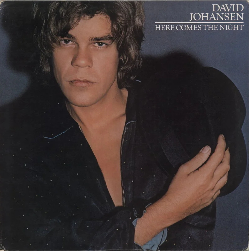David Johansen Here Comes The Night US Vinyl LP