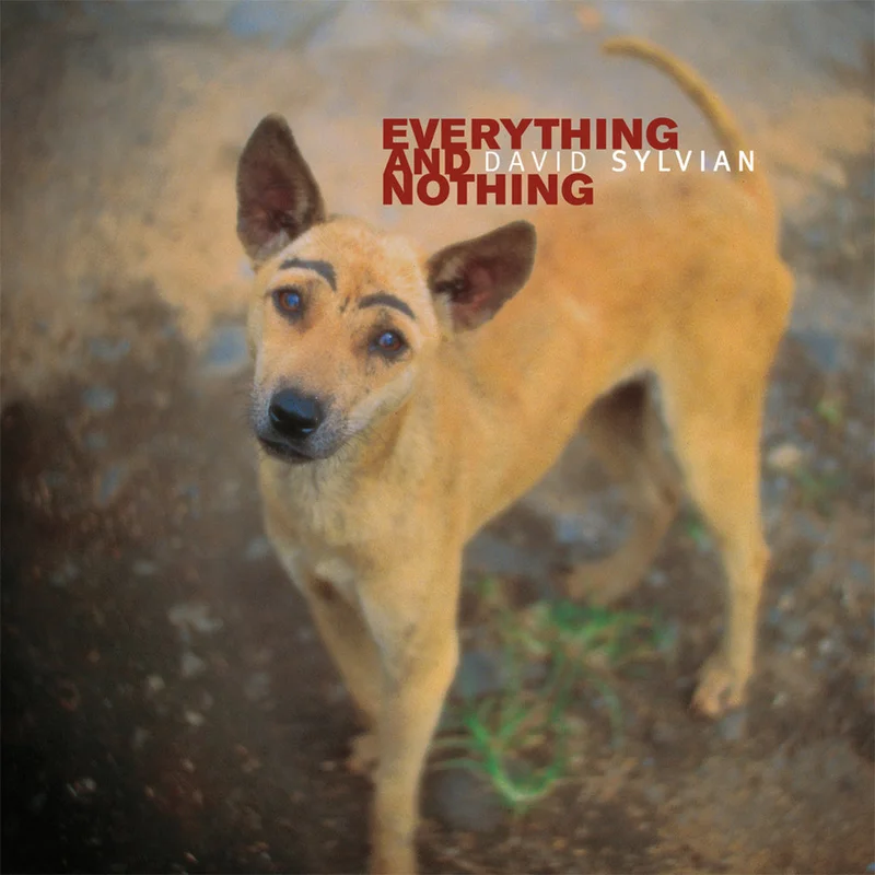 David Sylvian Everything And Nothing (3xLP)