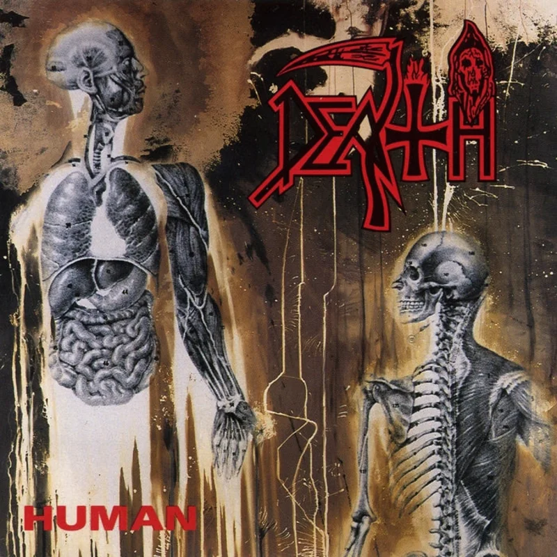 Death Human