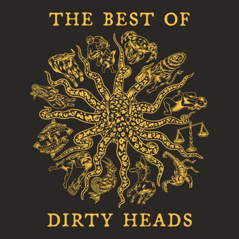 Dirty Heads The Best Of (2-LP)