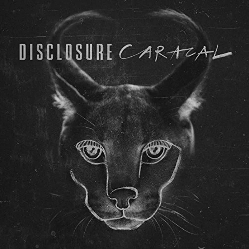 Disclosure Caracal (2xLP, Picture Disc vinyl)
