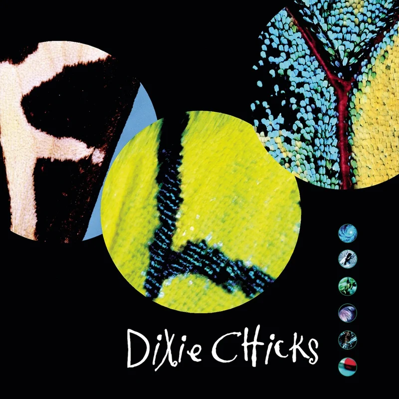 Dixie Chicks Fly (2xLP)
