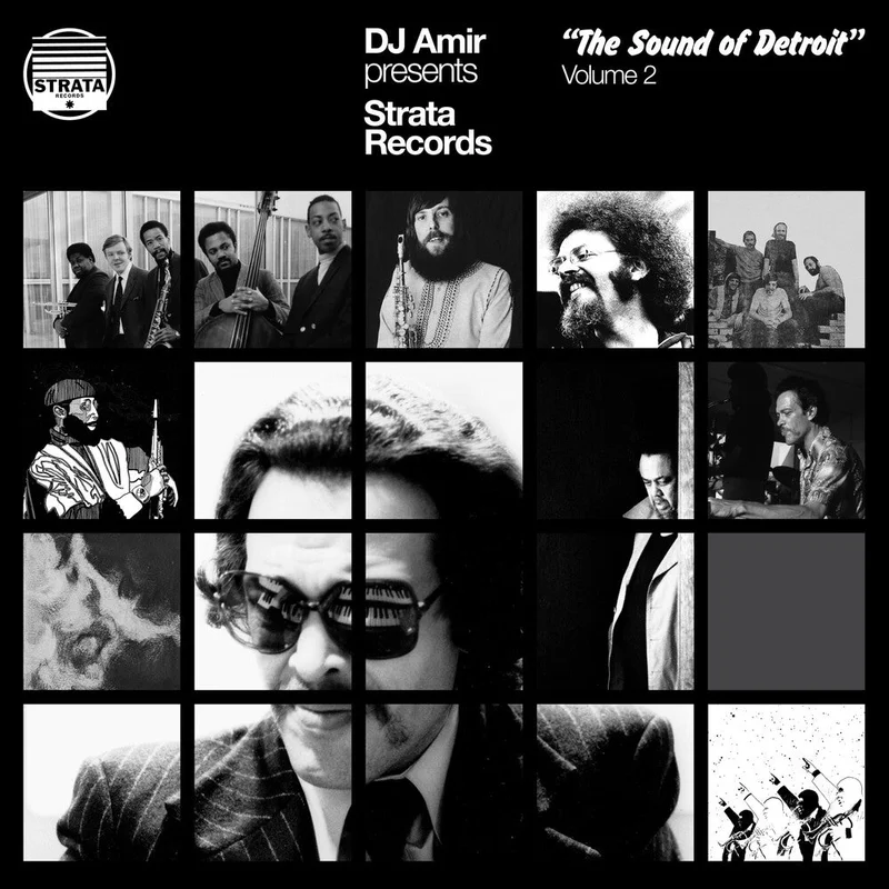 Dj Amir - Dj Amir Presents Strata Records: Sound Of Detroit [LP]
