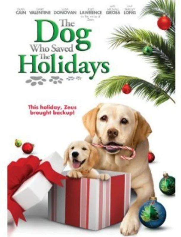 DOG WHO SAVED THE HOLIDAYS - DVD
