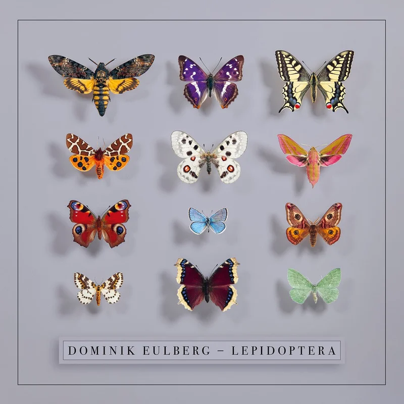 Dominik Eulberg  Lepidoptera