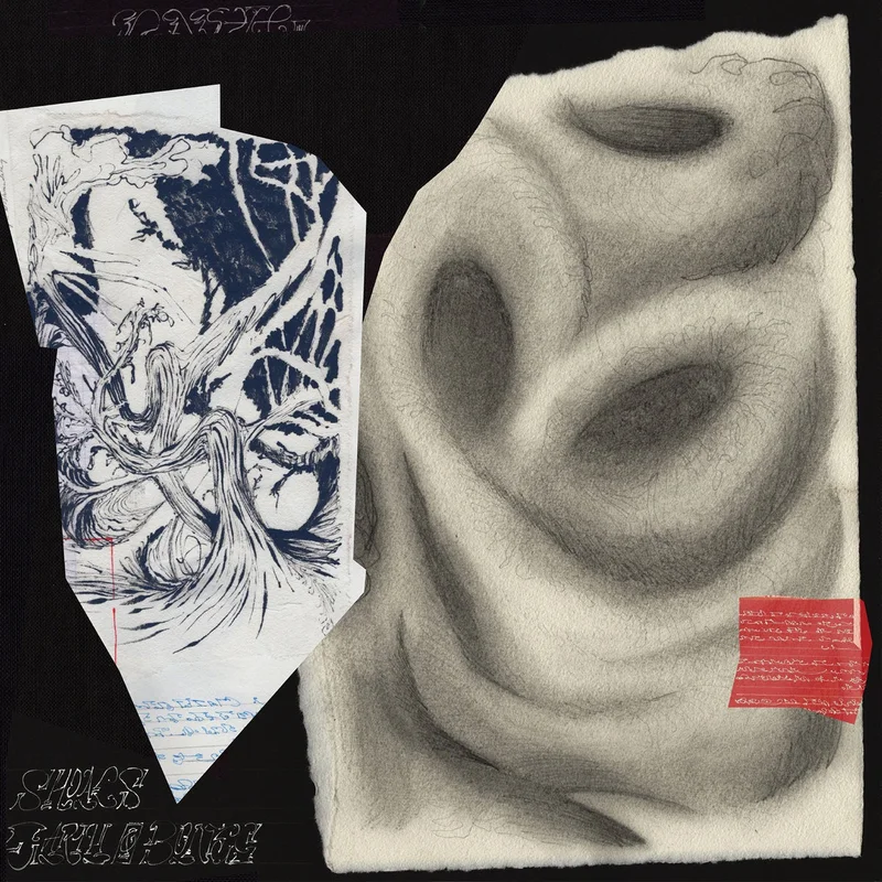 Earth And Bones - Shoals