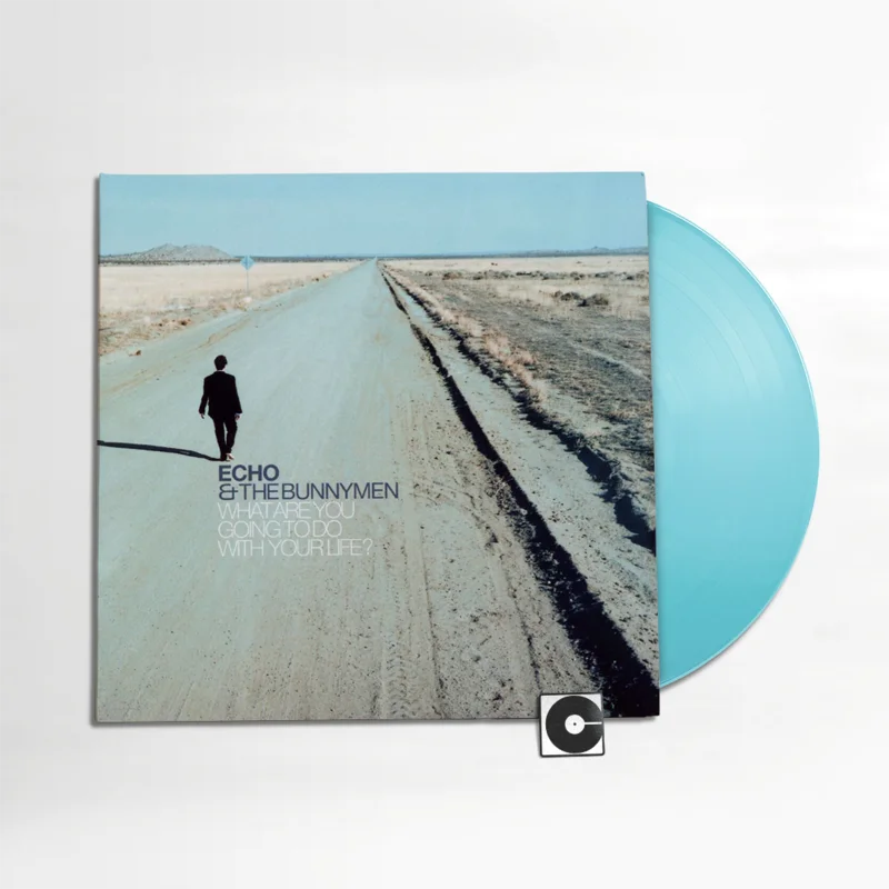 Echo & The Bunnymen - "What Are You Going To Do With Your Life?" 2025 Pressing