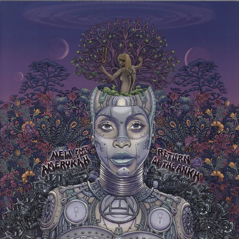 Erykah Badu New Amerykah, Part 2: Return Of The Ankh US 2-LP vinyl set