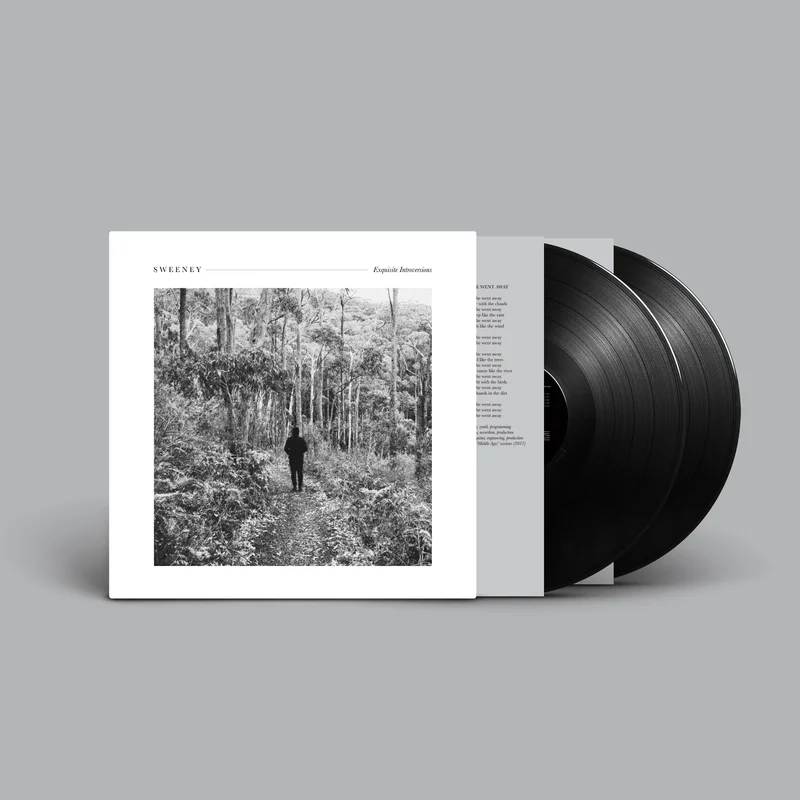 Exquisite Introversions