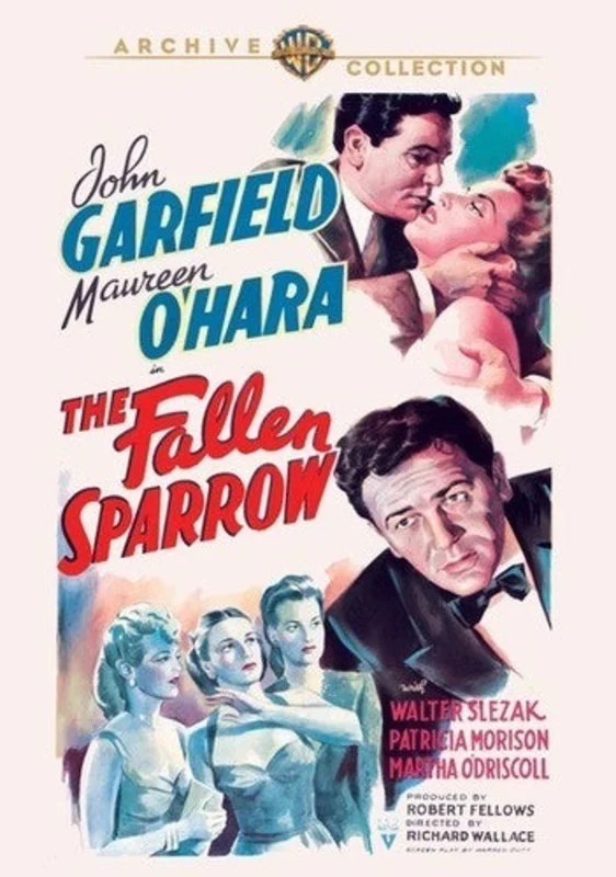 FALLEN SPARROW - DVD