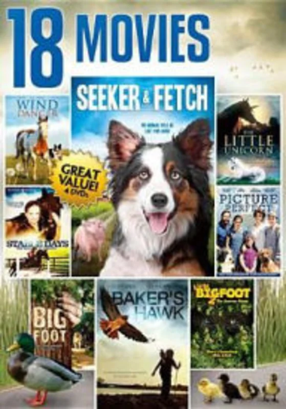 FAMILY VALUE COLLECTION (4 DVD) - DVD
